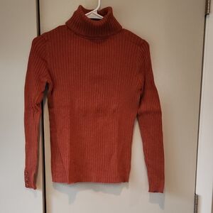 J. McLaughlin Rust Ribbed Turtleneck Sweater